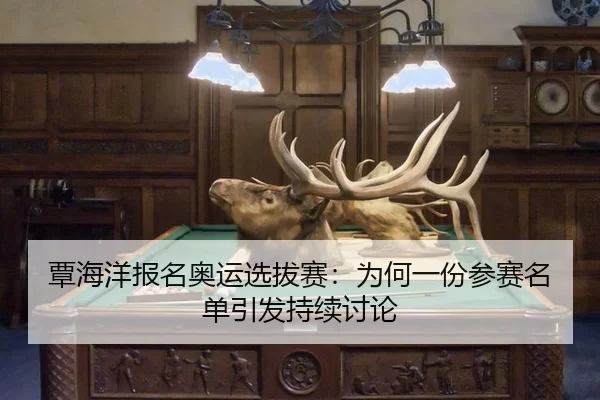 tan-hai-yang-bao-ming-ao-yun-xuan-ba-sai-wei-he-yi-fen-can-sai-ming-dan-yin-fa-chi-xu-tao-lun-2-218.jpg